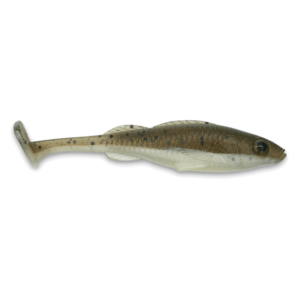 shad-big-paddle