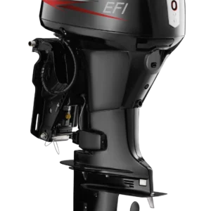 Moteur à injection électronique HIDEA